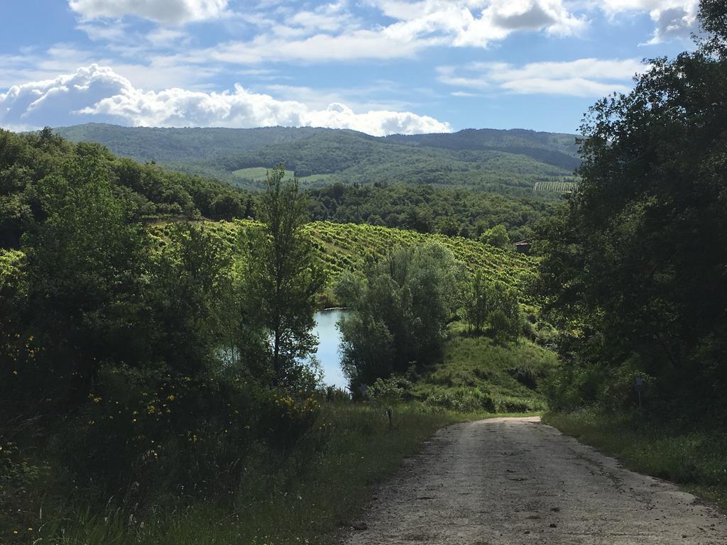 Podere Terreno Alla Via Della Volpaia ラッダ・イン・キアンティ エクステリア 写真