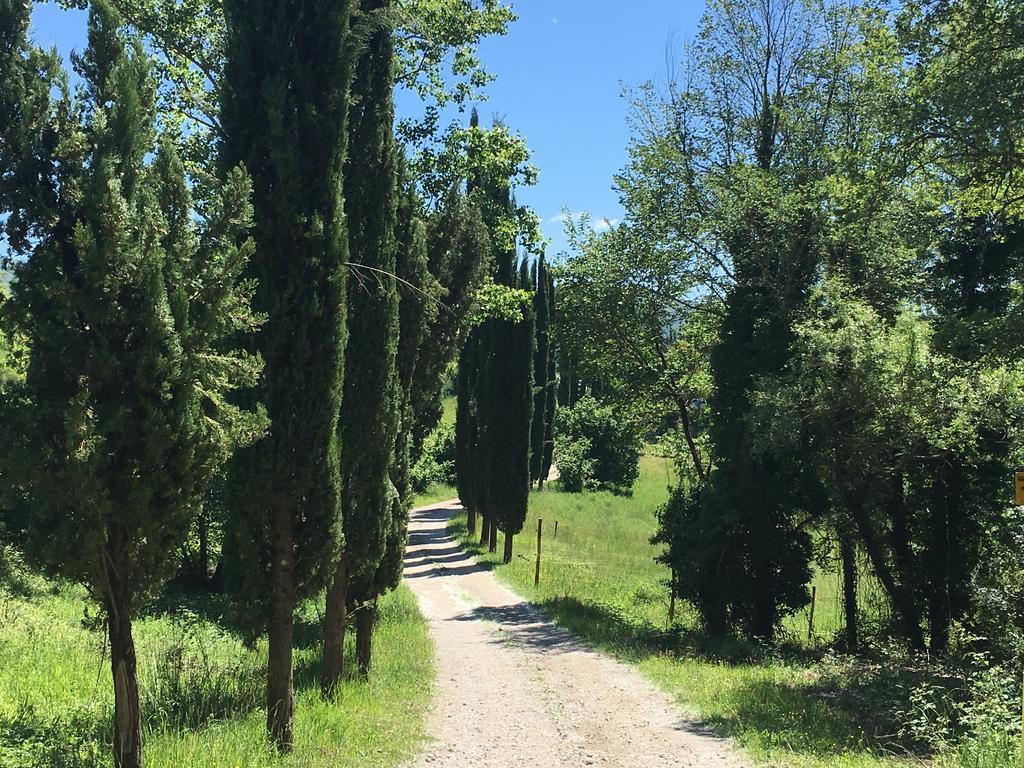 Podere Terreno Alla Via Della Volpaia ラッダ・イン・キアンティ エクステリア 写真