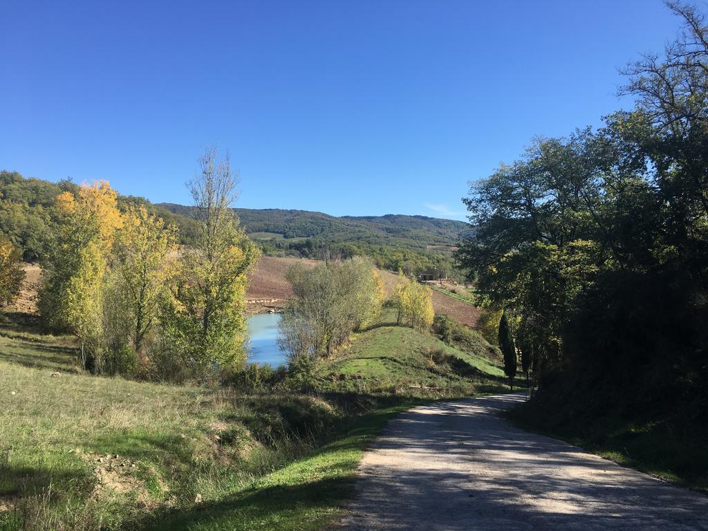 Podere Terreno Alla Via Della Volpaia ラッダ・イン・キアンティ エクステリア 写真